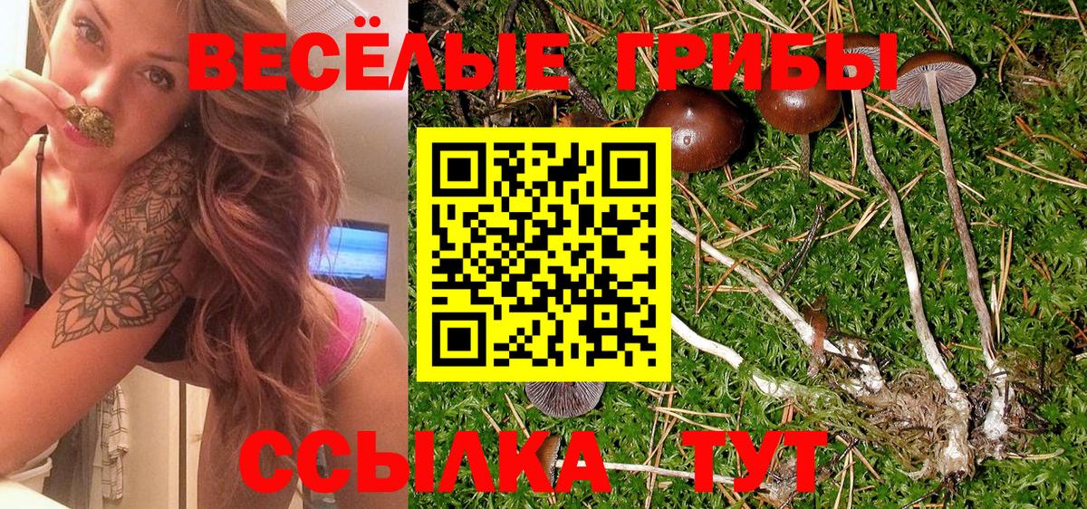 Галлюциногенные грибы мухоморы Моздок