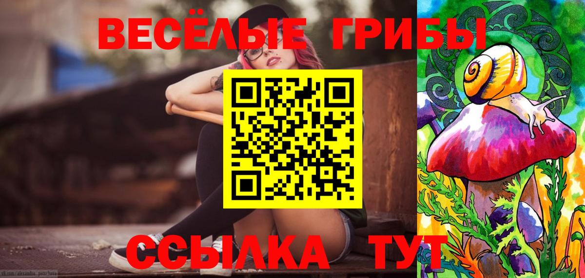 Моздок  где купить наркотик  Псилоцибиновые грибы ЛСД  Вход с VPN  Псилоцибиновые грибы ЛСД 